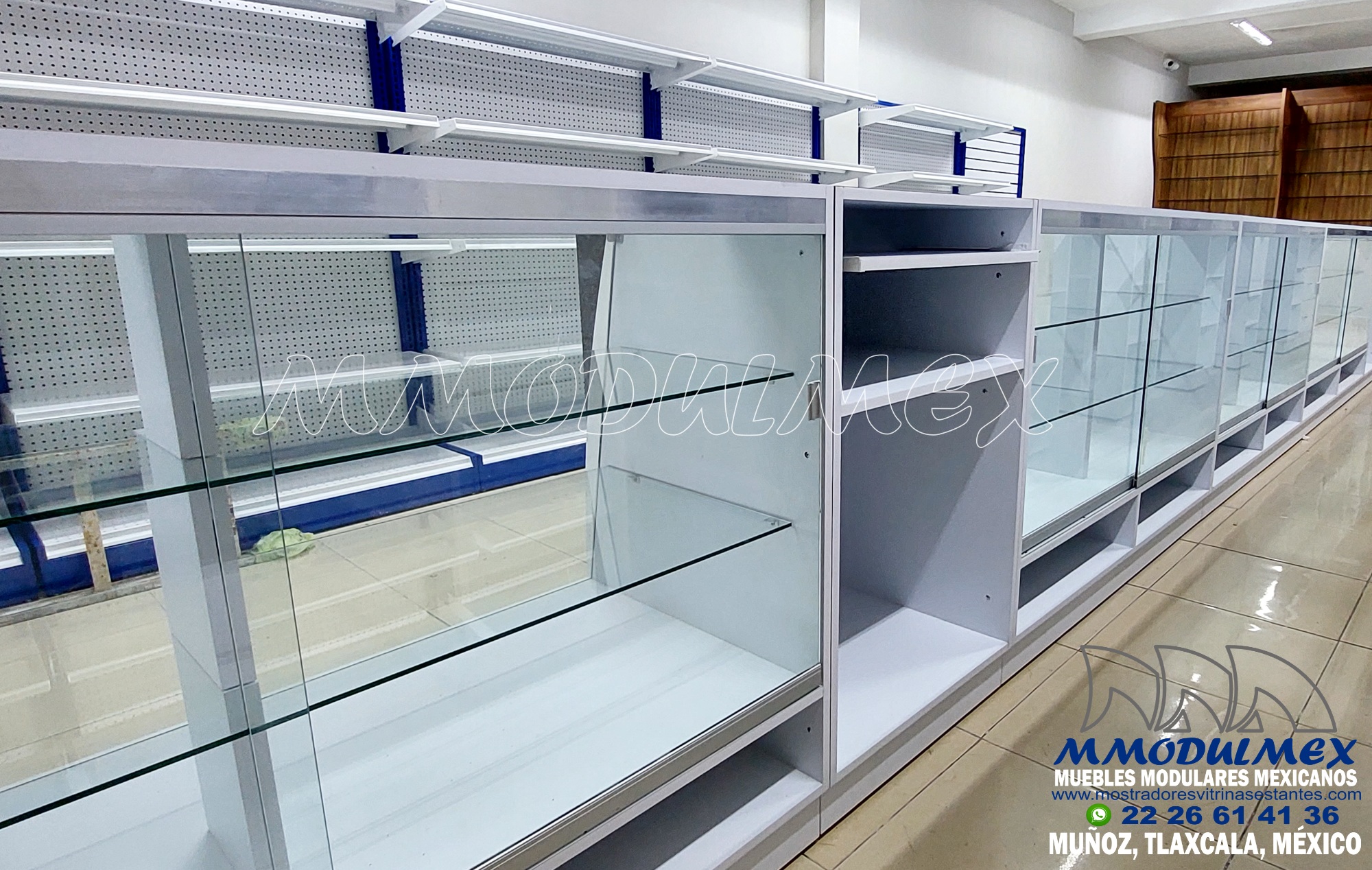 Vitrinas Para Farmacia Cadereyta 11